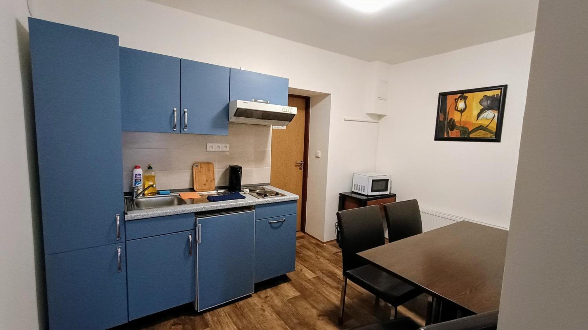 Apartments Gato Karlovy Vary Dalovice エクステリア 写真